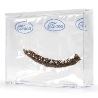 Cloaca Faeces