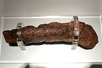Lloyds Bank Coprolite