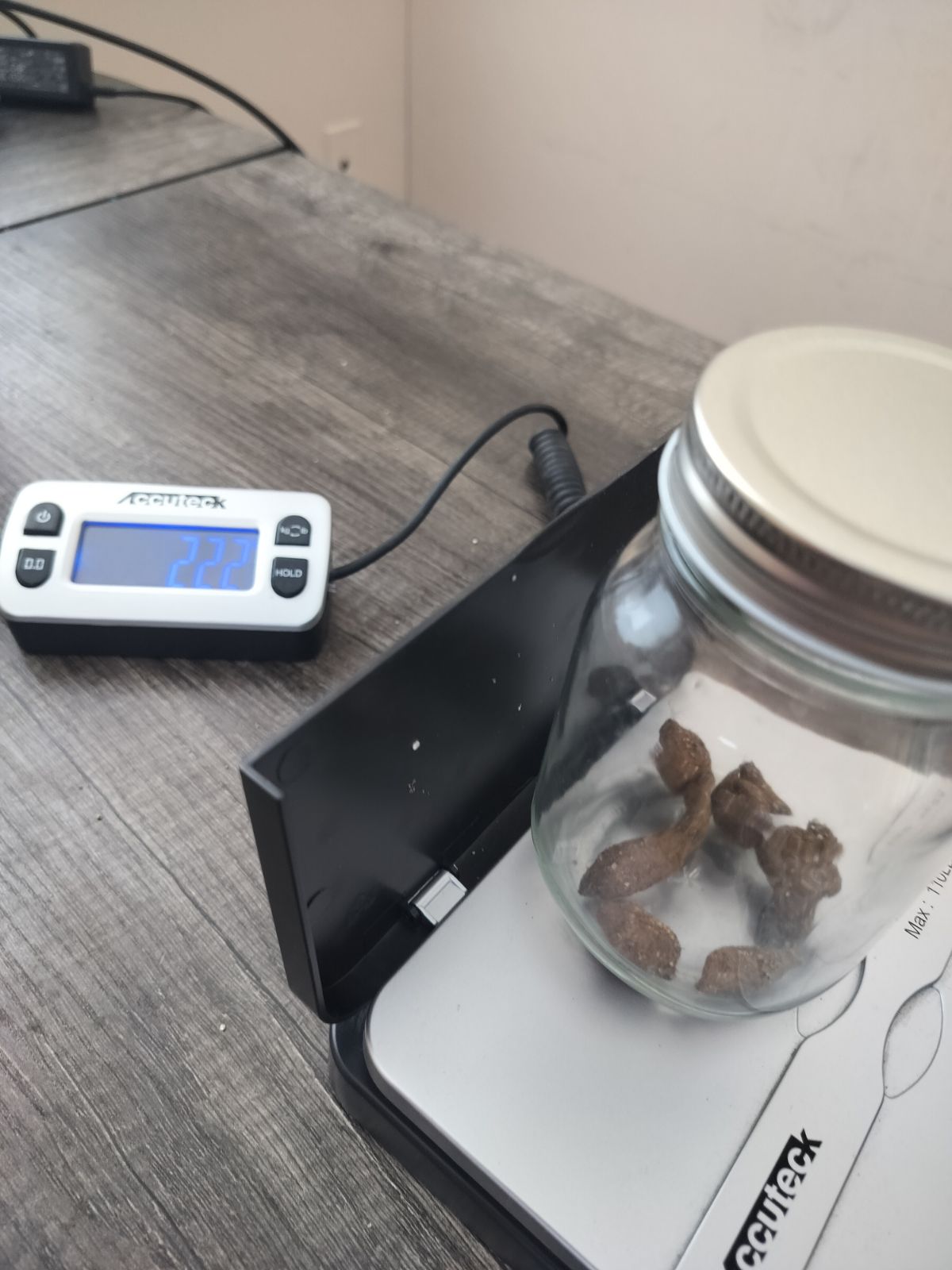 The specimen in the jar, unsealed.